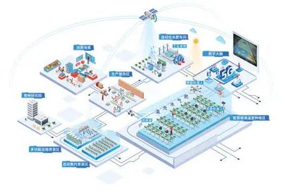 植物工厂有了智慧大脑——《人民日报》聚焦山东青岛智慧设施农业